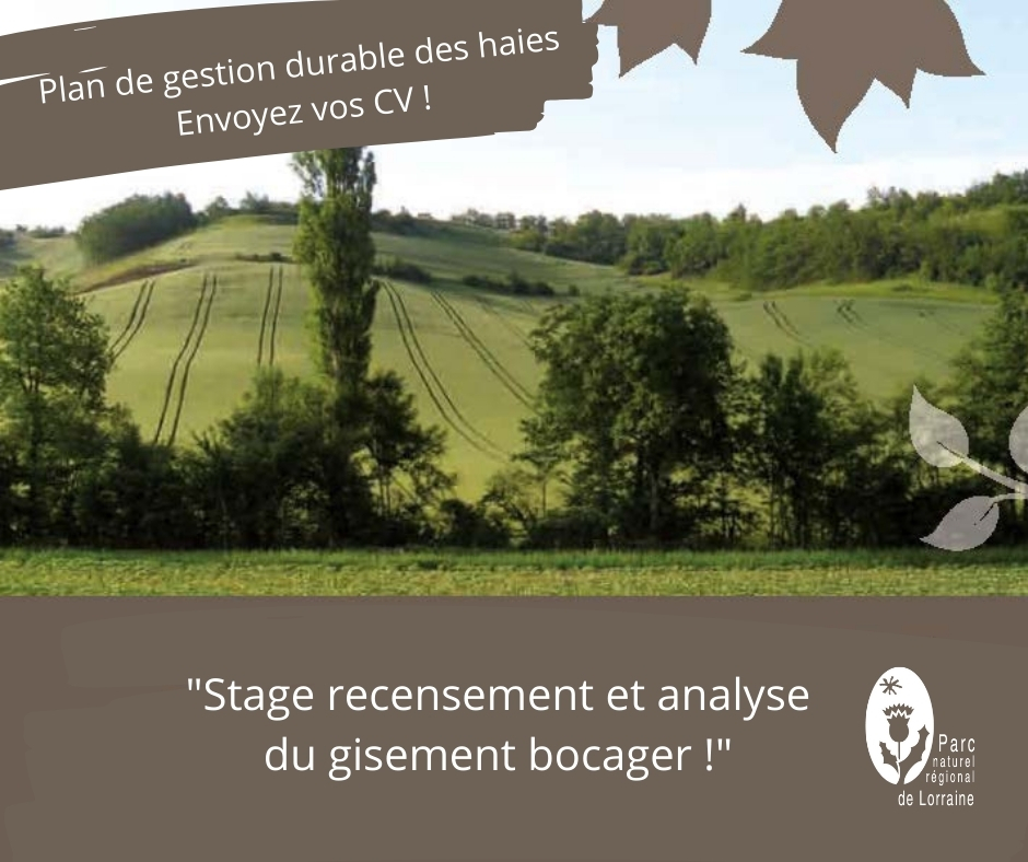 Offre de stage haies