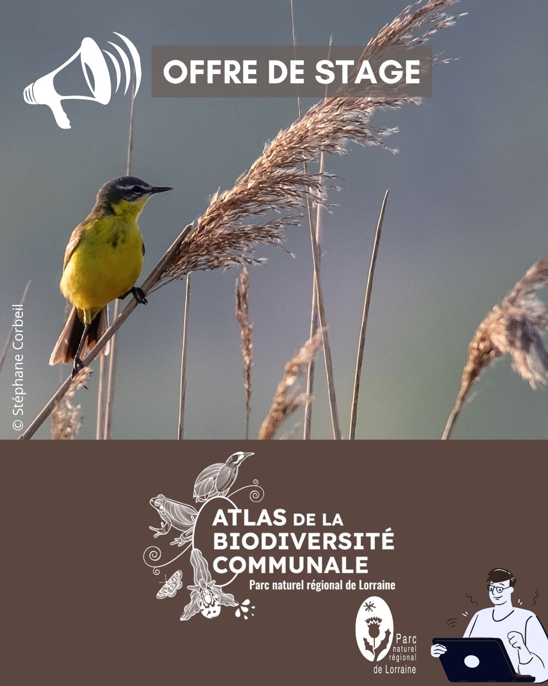 Stage 2026 Atlas de la biodiversité communale