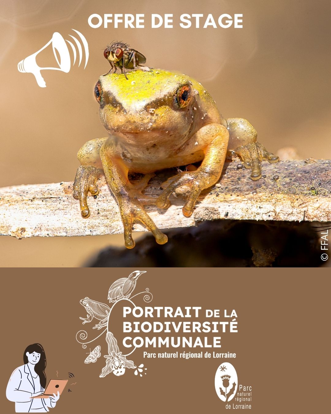 Offre de stage 2026 PBC