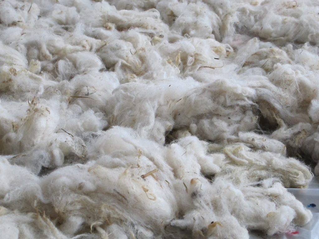 L'isolation en Laine de Mouton : à éviter dans Le Finistère - Qualité
