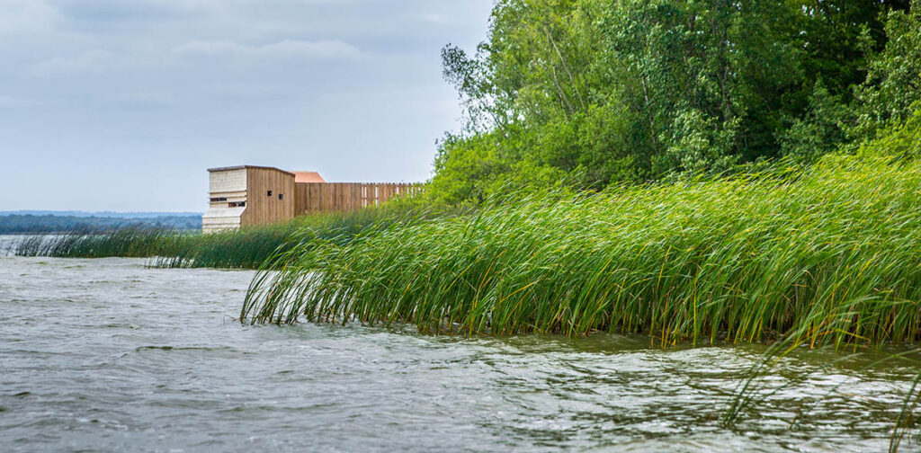 Observatoire des oiseaux du Lac de Madine