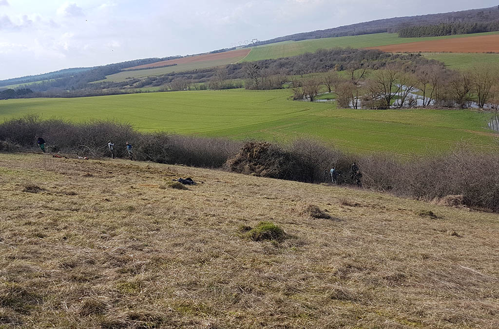 Chantier Entretien de pelouse à Dieulouard