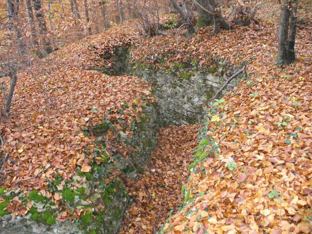 Une tranchée dans les bois