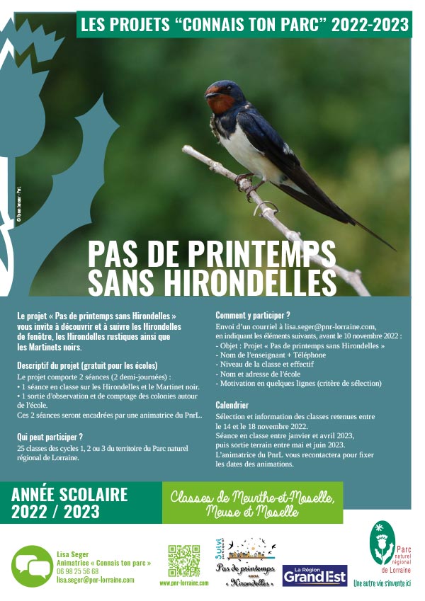 Fiche Connais ton Parc sur les hirondelles