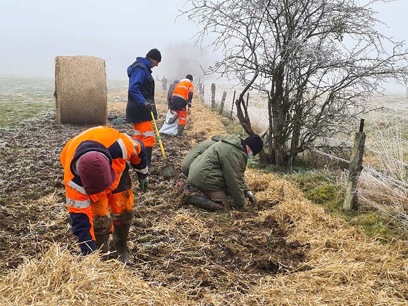 chantier hiver plantation de haies