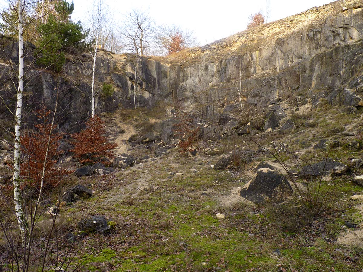 Pelouse calcaire Genicourt-sur-Meuse