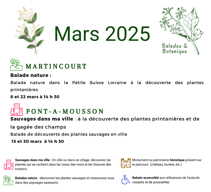 programme des sorties de mars 2025
