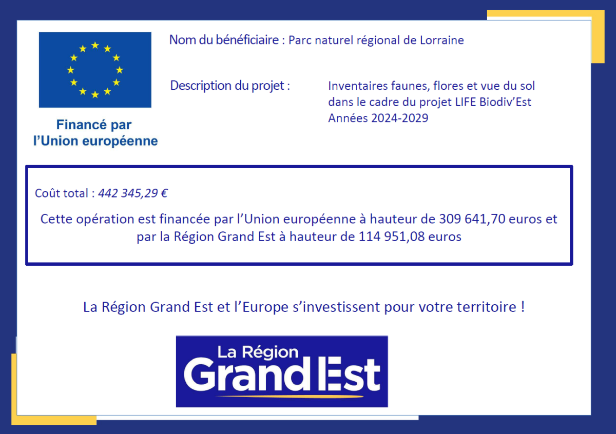 Obligation publicitaire fonds européens