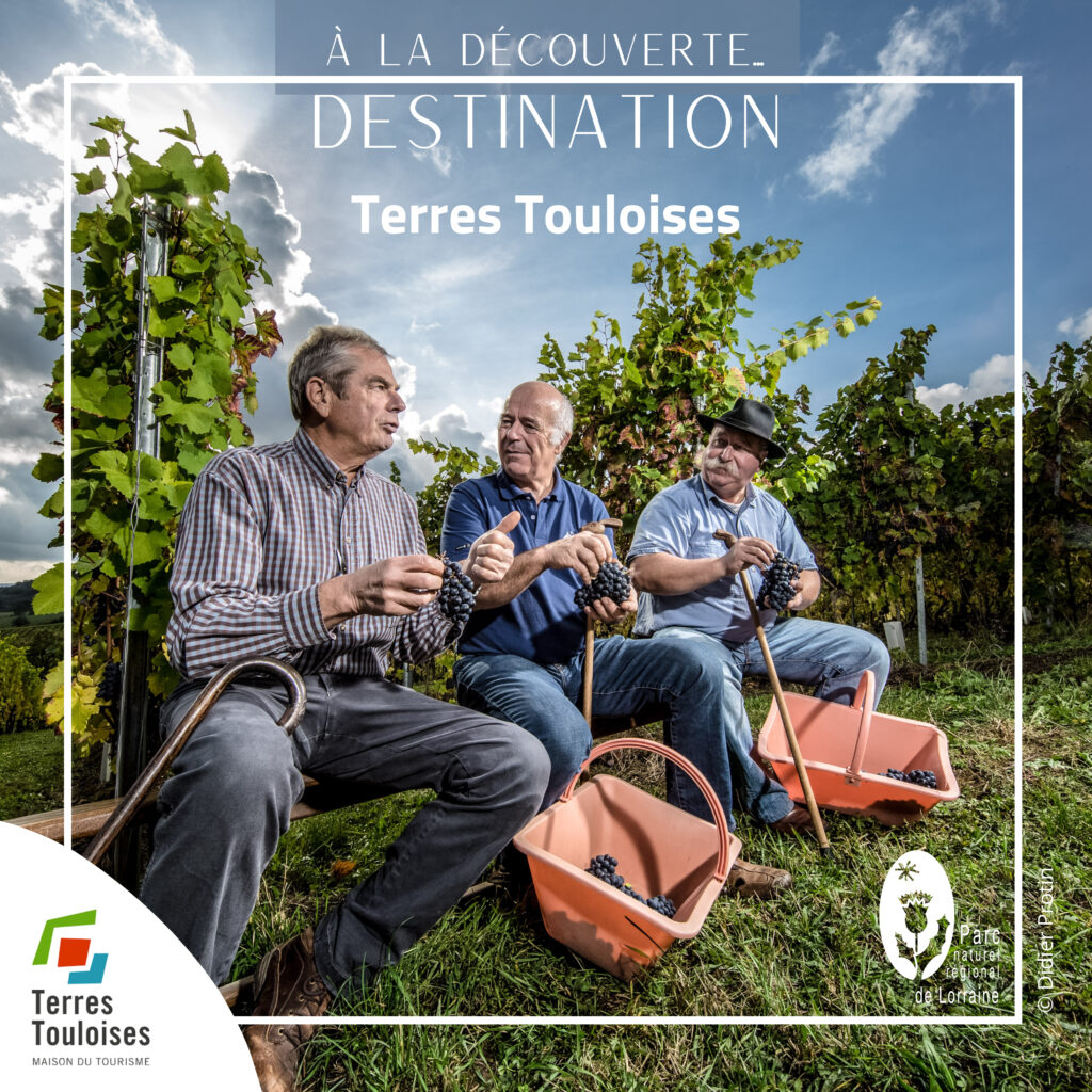 Trois vignerons sur un banc