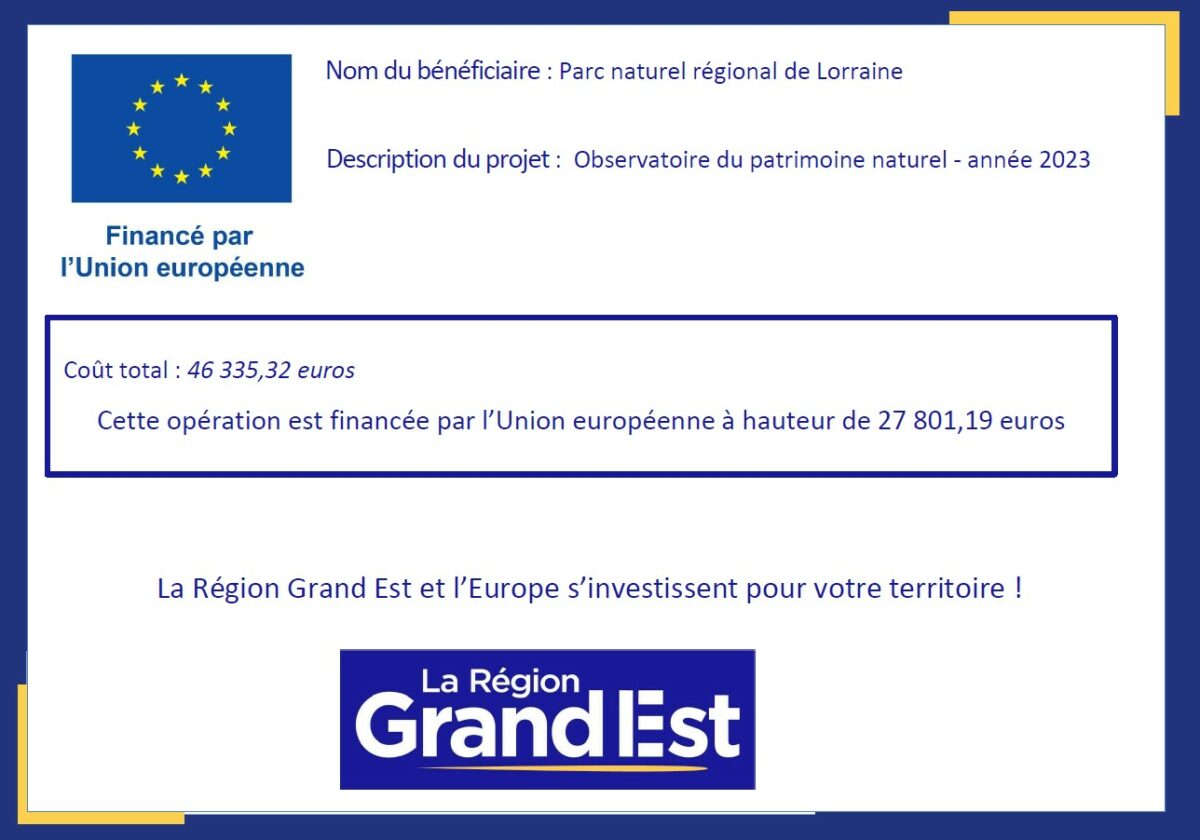 Affichage de publicité