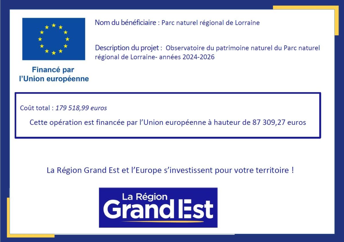 Obligation de publicité