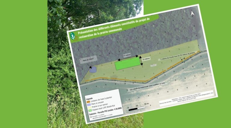 Plan du projet de plantation de haies à Dommartin-La-Chaussée