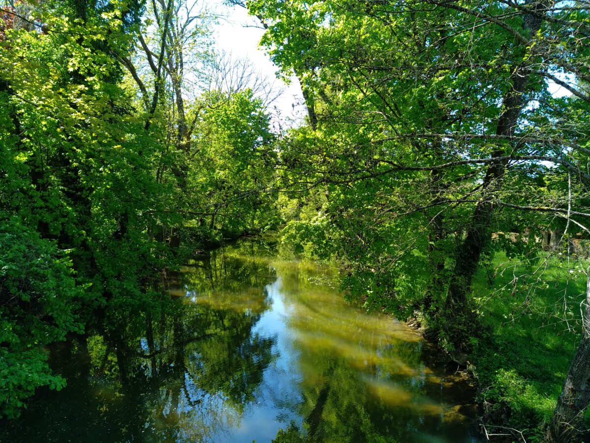 Paysage du Rupt-de-Mad