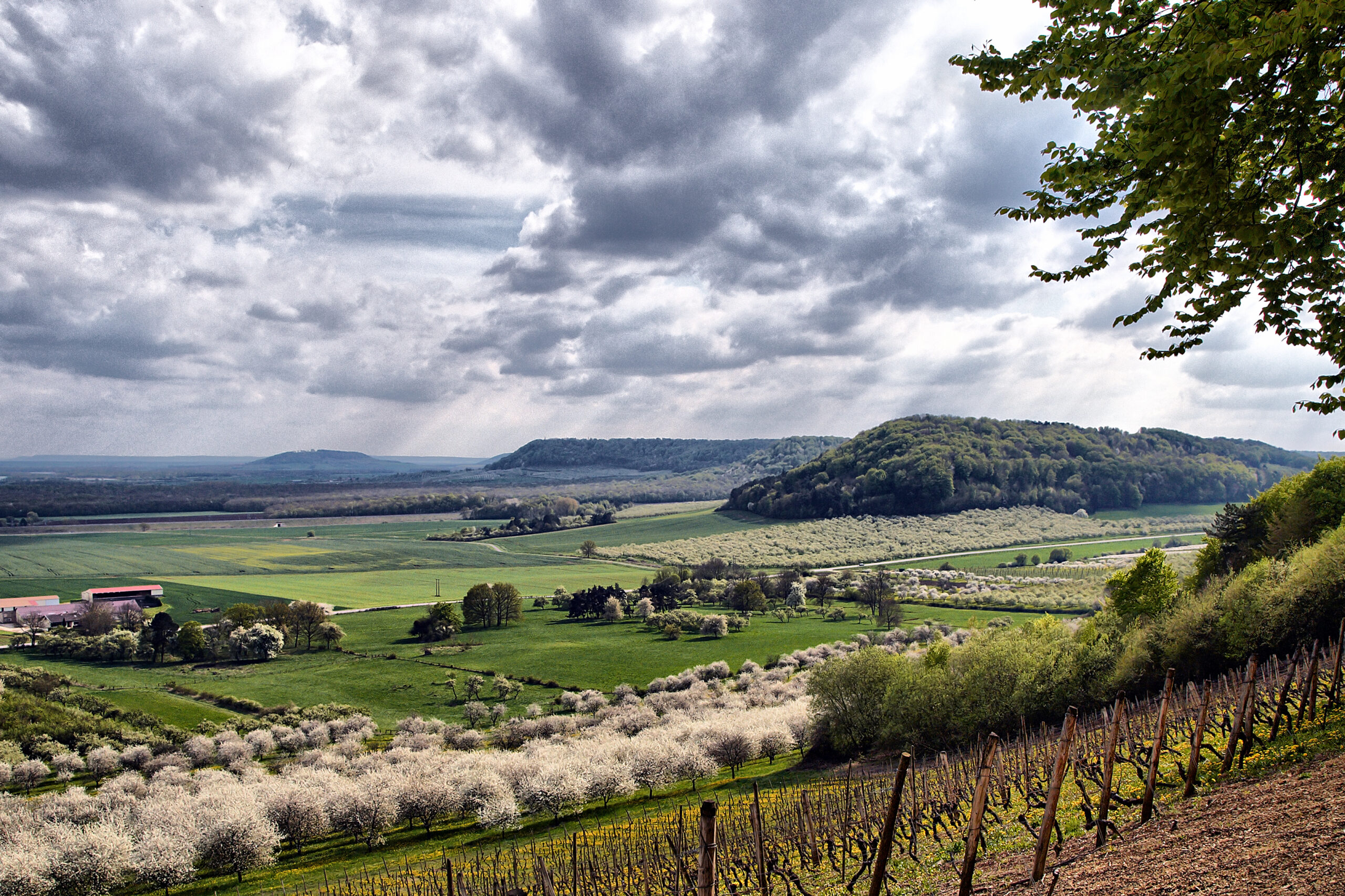 Relief de côtes- Meuse vergers et plateaux