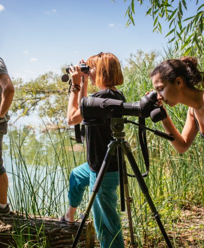 Personnages observants un milieu naturel avec des jumelles e