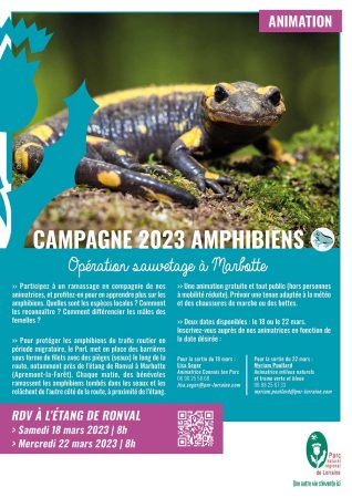 CP Animation Ramassage Amphibiens 2023-WEB
