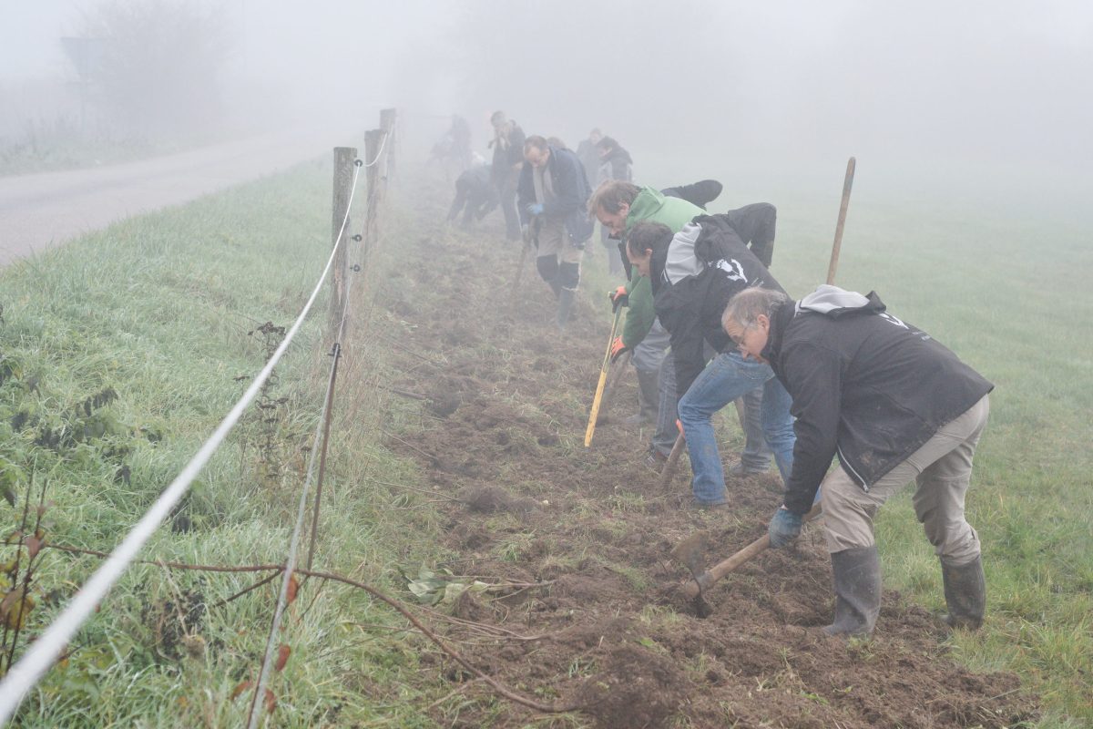 plantation de haies amis du parc