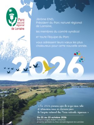 Voeux 2026