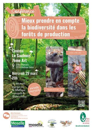 Maquette-Affiche-conference-foret-bibliotheques-Web