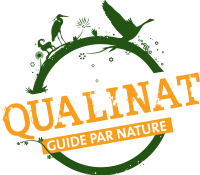 Qualinat_logo_cmjn 300 DPI transparent (002)