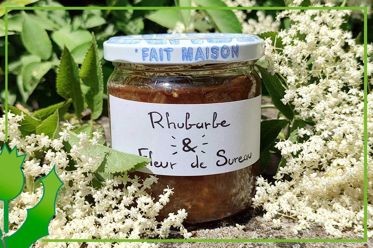 Recette - confiture sureau