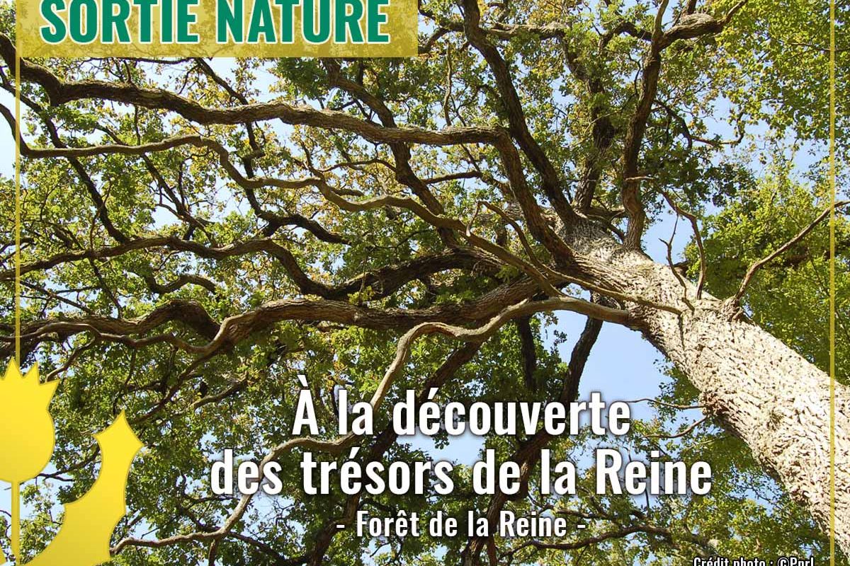 Sortie nature Reine