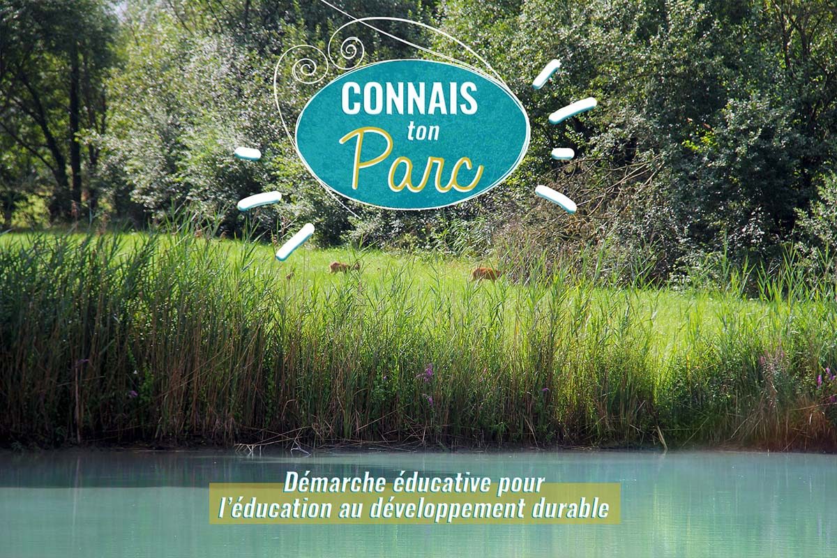 Visuel pour les ressources éducatives Connais ton Parc