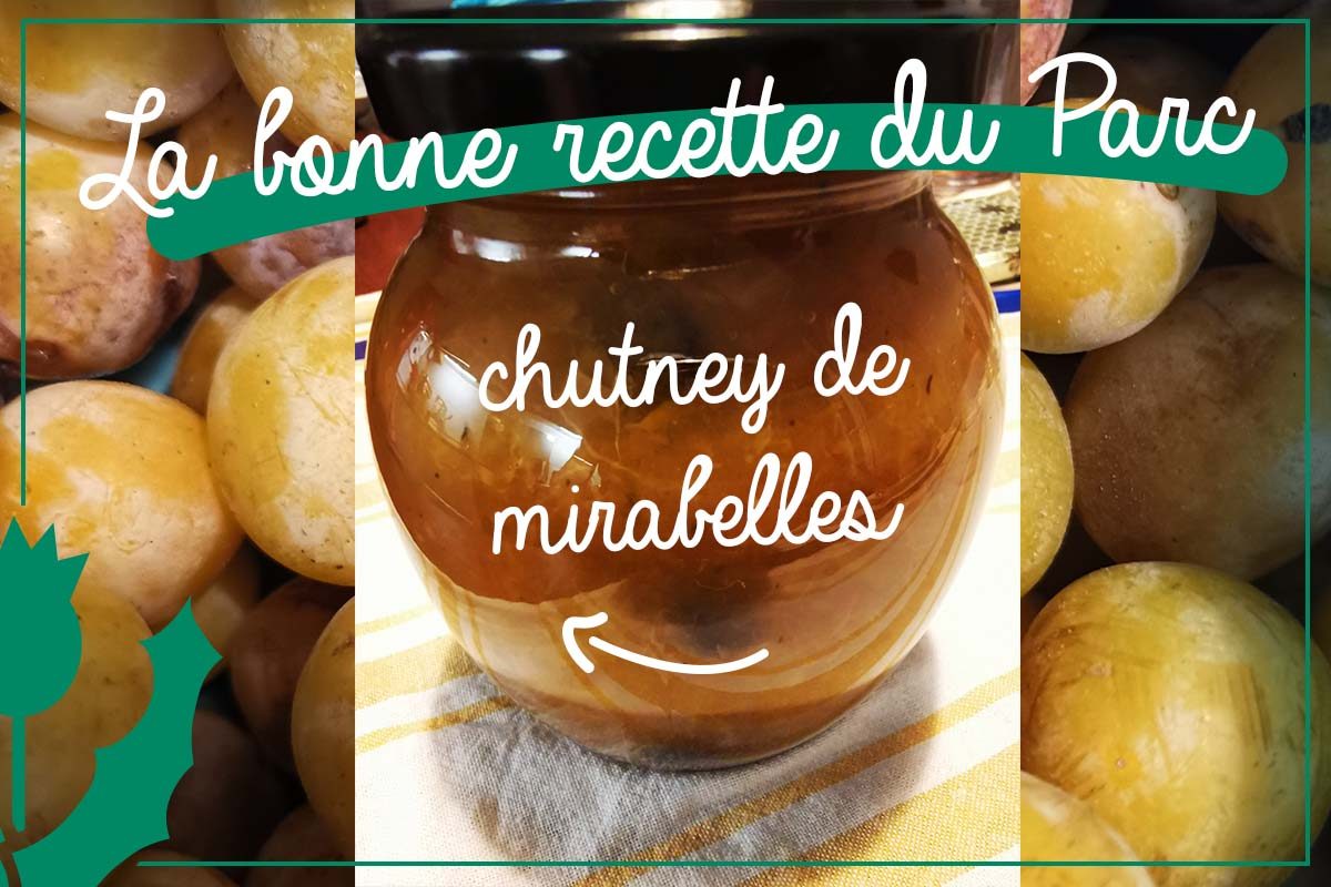 Visuel-recette-chutney