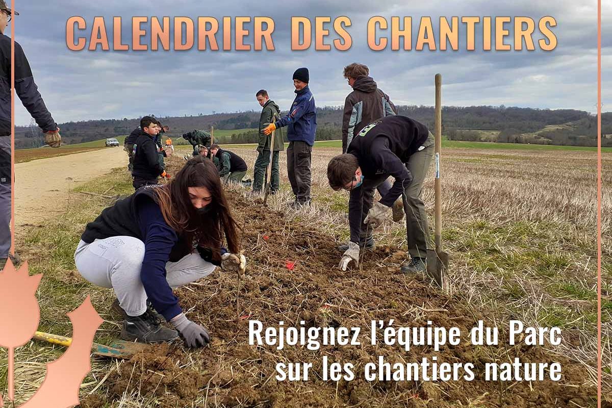 chantier-nature-fin-saison