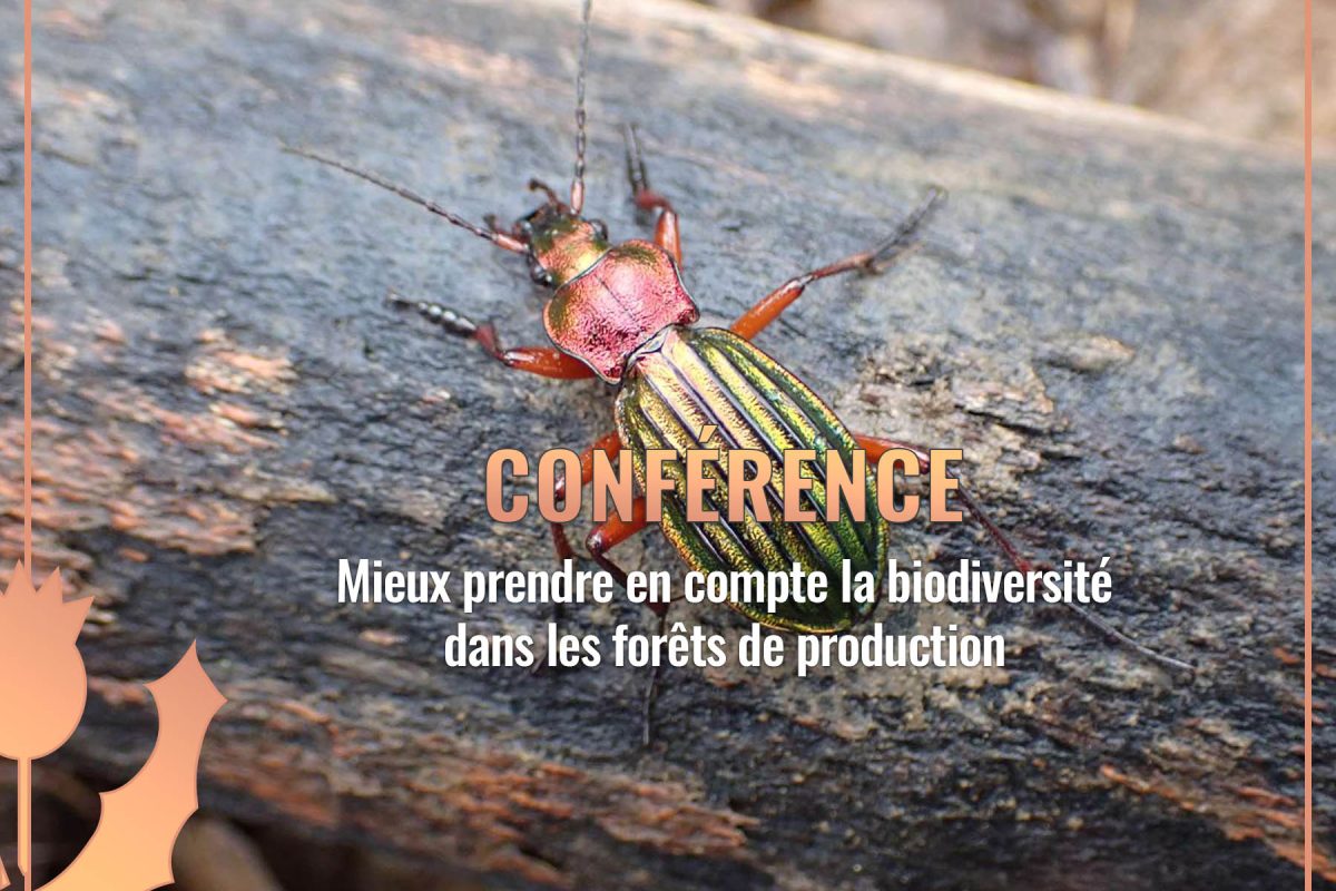 conférence-bois 2023