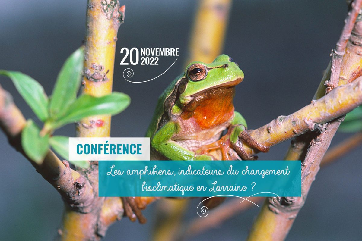 conference-montier