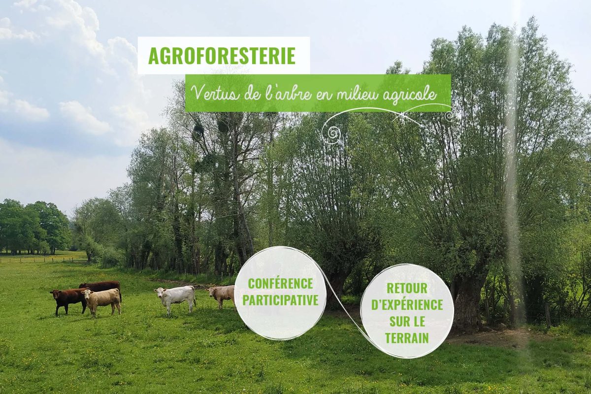 visuel-journee-agro-foresterie